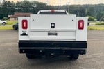 2019 Ford Super Duty F-250 Pickup XL