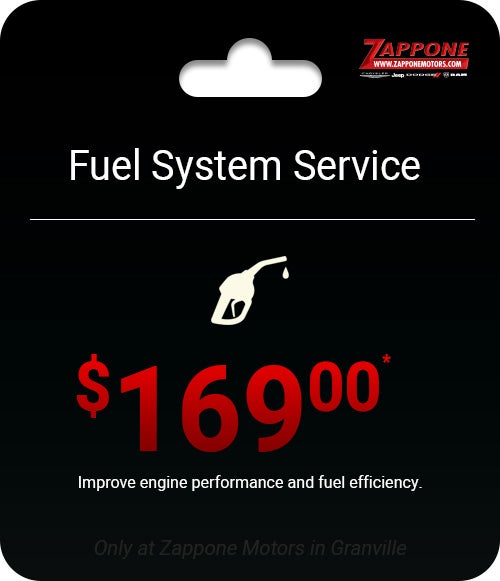 Fuel System Service