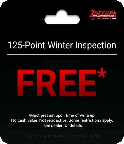 125-Point Winter Inspection